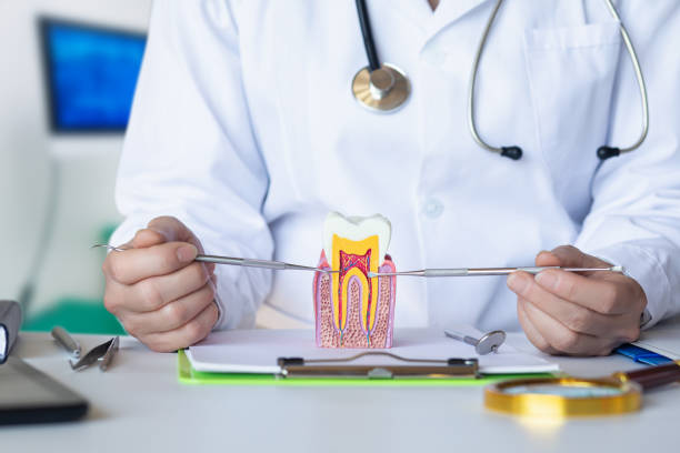 Best Emergency Root Canal Treatment in Ellenville, NY